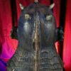 Creature - Thumbnail Image 10